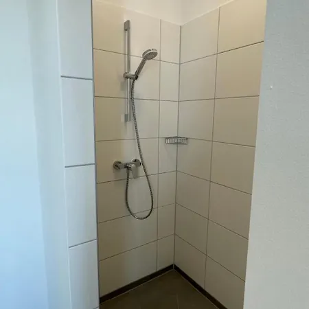 Pfingstrose Spangenberg