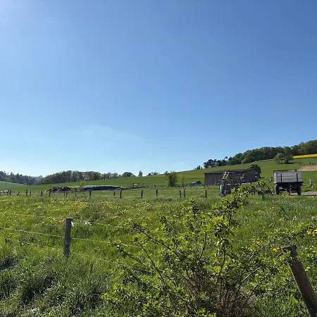 Pfingstrose * Spangenberg