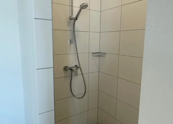 Pfingstrose Spangenberg